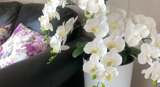Sancheong Sinsegye Jirisan Resort, Prenota Resort Nae-ri 