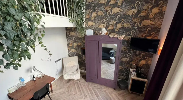 Двухместный номер Standard Мансарда Suitehotel Pincoffs