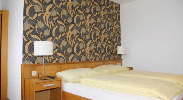 Двухместный номер Standard Hotel Rader