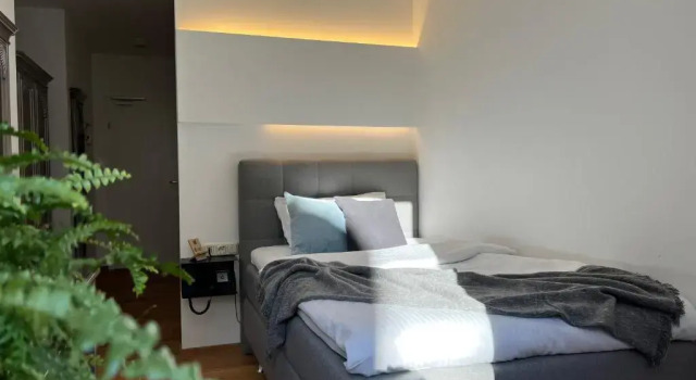 Номер Standard Stadthotel Styria