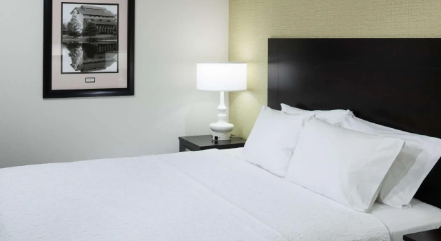 Двухместный номер Standard Hampton Inn & Suites Gainesville Downtown University
