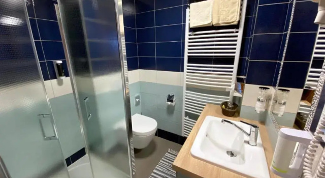Номер Superior Hotel Na Dolině