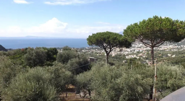 Апартаменты Appartamento Villa degli Ulivi