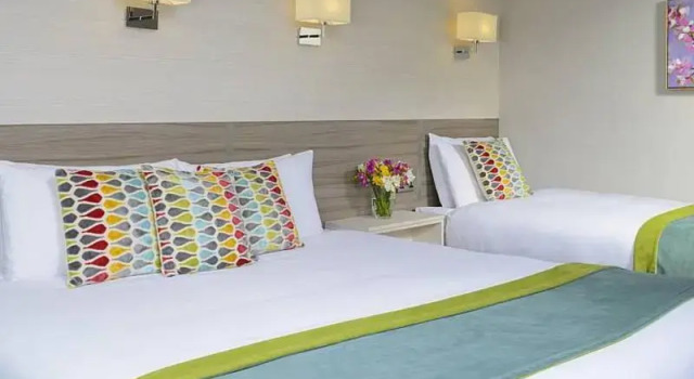 Номер Standard Gleneagle Killarney