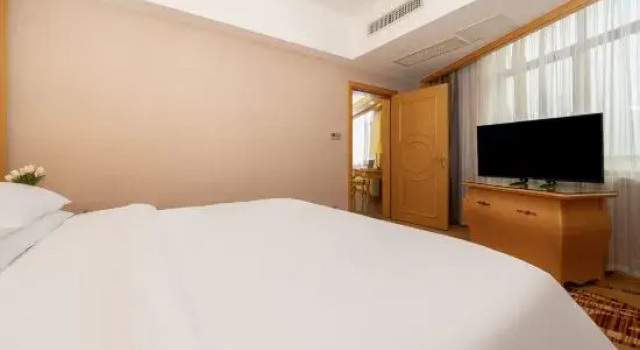 Люкс Deluxe Vienna Hotel (Fangchenggang Fangcheng)