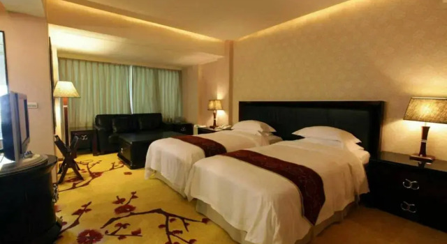 Двухместный номер Standard Art Spa Hotel
