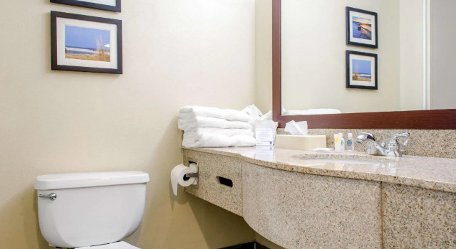 Четырёхместный номер Standard Comfort Inn & Suites Biloxi-DIberville