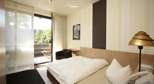 Одноместный номер Standard Landidyll Wilminks Parkhotel