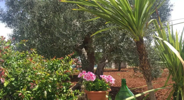 Il Trullo di Nonno Angelo San Marco
