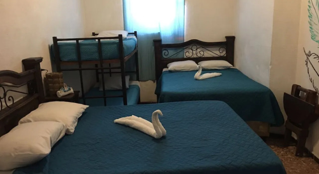 Номер Standard Feathers Hotel & Lounge