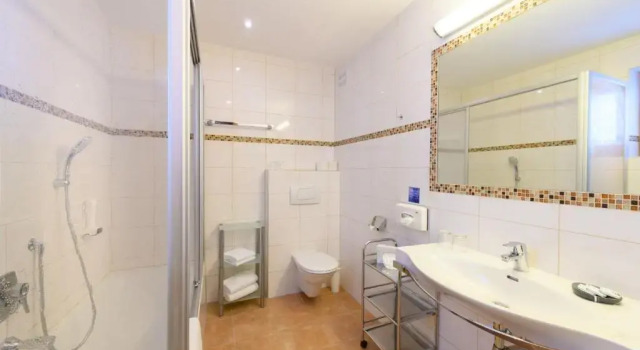 Семейный номер Standard Hotel Dorfer