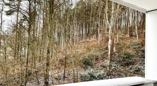 Двухместный номер Standard с балконом HARZ HOTEL und Gästehaus am Bornweg