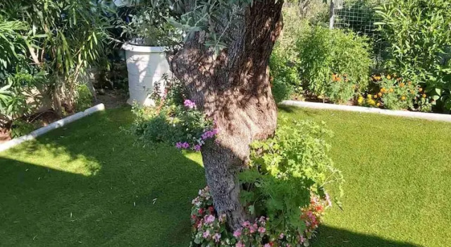 Коттедж Lefkada Summer House Near the Beach