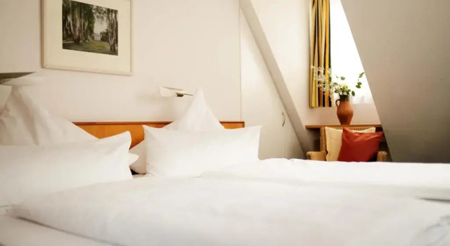 Номер Standard Hotel-Restaurant Anne-Sophie
