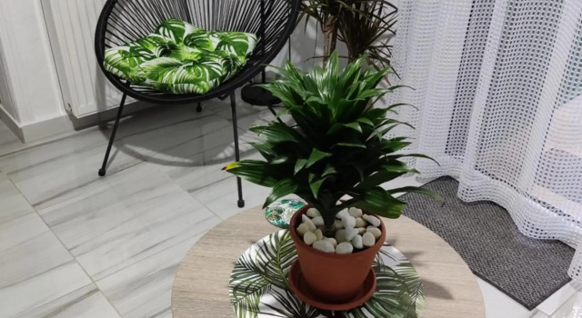 Secret Garden House, Book Hotel Kavala Macedonia