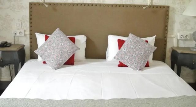 Номер Comfort Logis Hôtel Louise de Savoie
