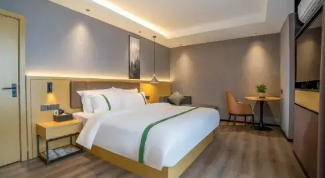 Suite Superior GreenTree Inn