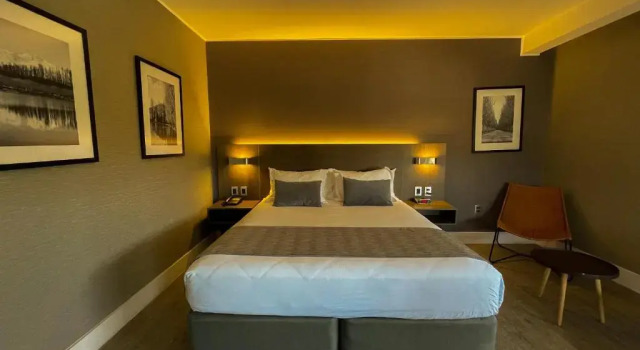 Biznes pokój Hotel Curicó