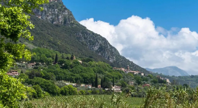 casa vacanza Rosy di Guida Rosy, Book Hotel Giungano Cilento