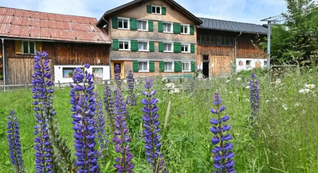 Апартаменты Ferienbauernhof Moosbrugger