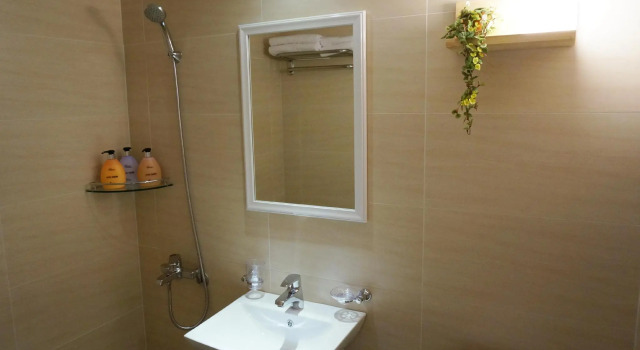 Двухместный номер Standard Hotel Gaon Golden Park Dongdaemun