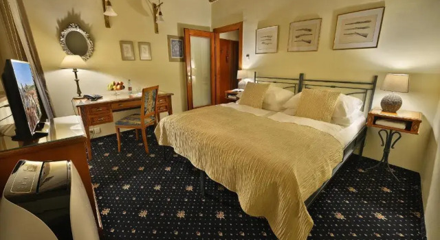 Standard Casal quarto com vista Hotel U Tri Pstrosu