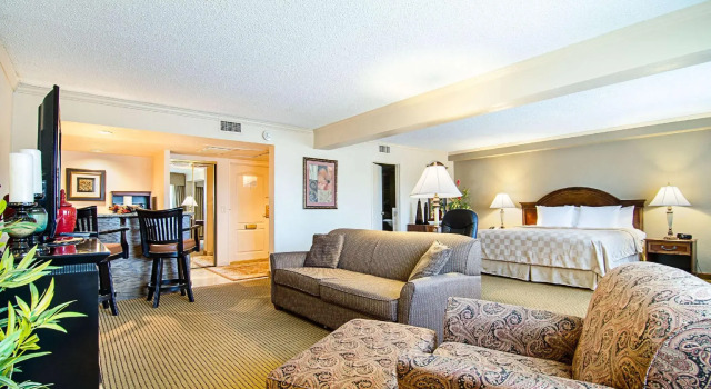 Двухместный люкс Clarion Inn Garden City