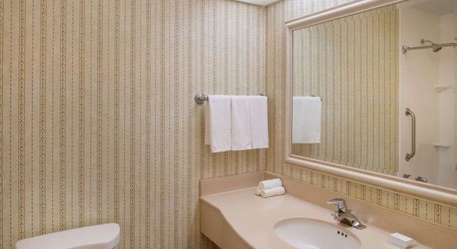 Четырёхместный номер Premium Hilton Garden Inn St. Louis/Chesterfield