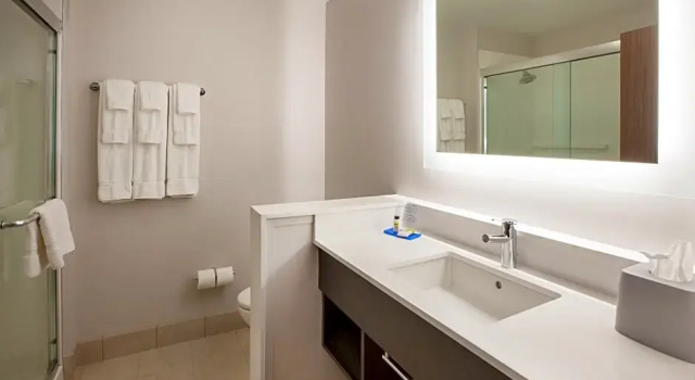 Двухместный номер Standard Holiday Inn Express & St Austin North Pflugerville