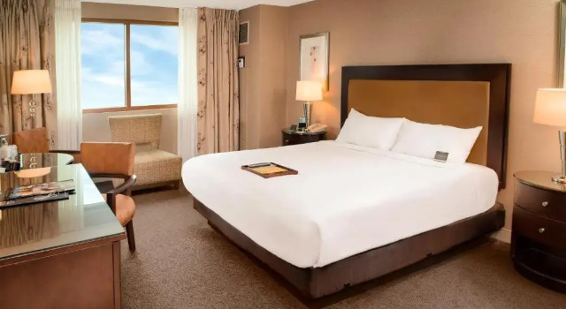Двухместный номер Deluxe Gold Strike Casino Resort