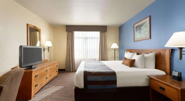 Двухместный номер Standard Wingate by Wyndham Denver Tech Center