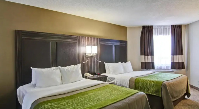 Четырёхместный номер Standard Цокольный этаж Comfort Inn