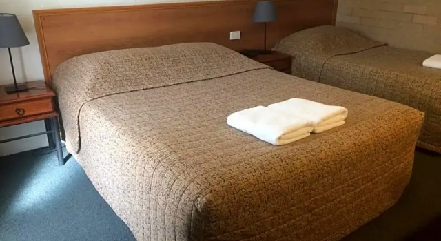 Номер Standard Alexander Motor Inn
