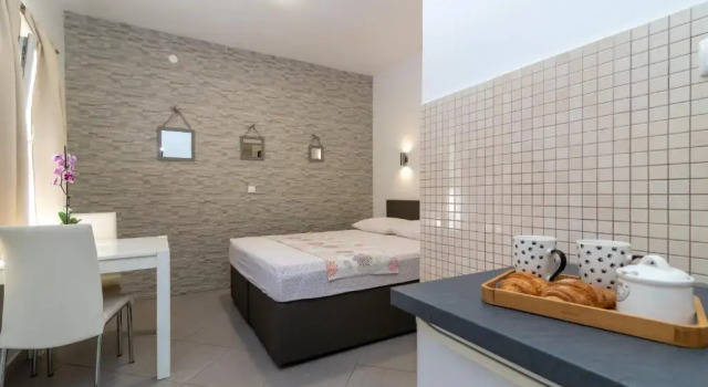Студия с красивым видом из окна Apartments Orlic