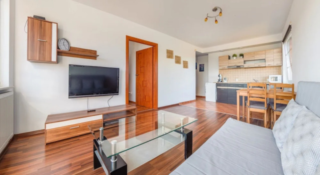 Апартаменты Apartamenty Sun & Snow Rzemieslnicza