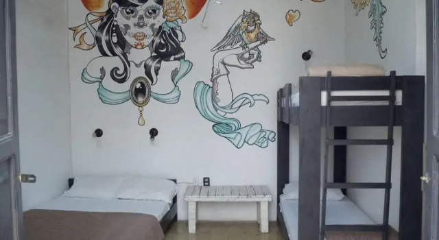 Номер Standard El Petate Hostel
