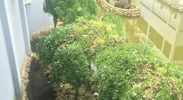 Zhangjiajie Heyi Hotel, Забронировать Отель Отели Чжанцзяцзе 3 звезды, 3*