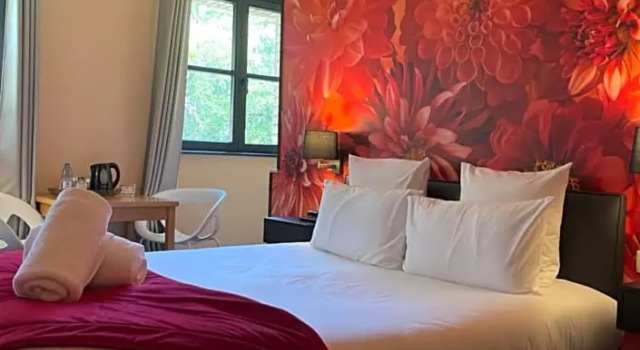 Двухместный номер Standard Hôtel-SPA Le Moulin De La Wantzenau - Strasbourg Nord