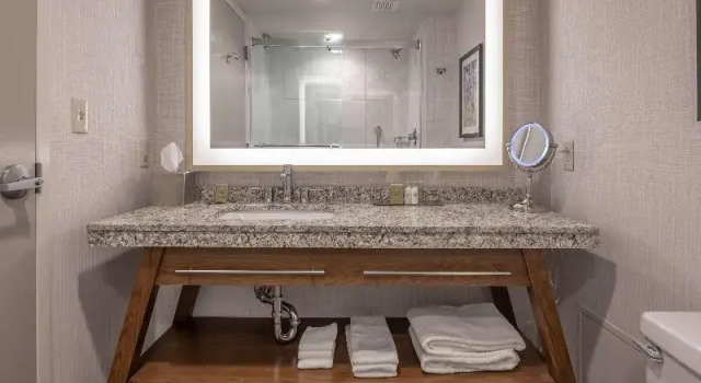 Номер Premium DoubleTree by Hilton Dallas-Farmers Branch