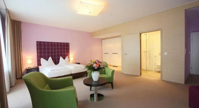 Номер Superior AKTIVHOTEL Weisser Hirsch