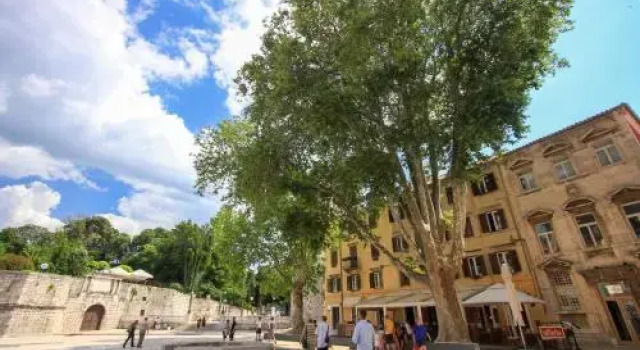Apartman Sandra