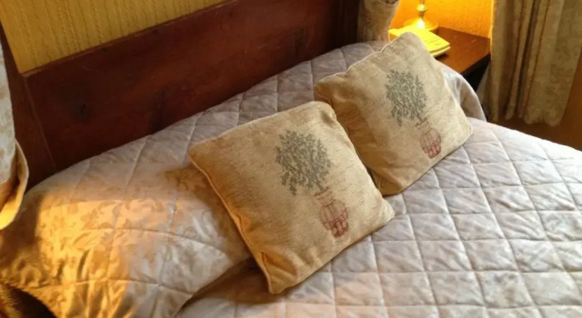 Одноместный номер Standard Ty Newydd Country Hotel
