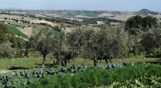 Коттедж Casale San Martino Agriturismo Bio