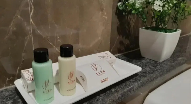 Двухместный номер Premium Liza Regency