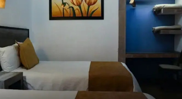Номер Standard Hotel Don Carlos