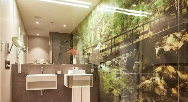 Номер Standard Dorint Resort & Spa Bad Brückenau