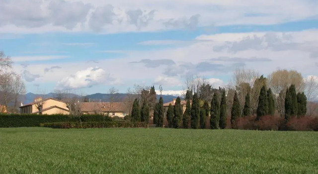 Fattoria di Migliarino, Book Hotel Migliarino Tuscany
