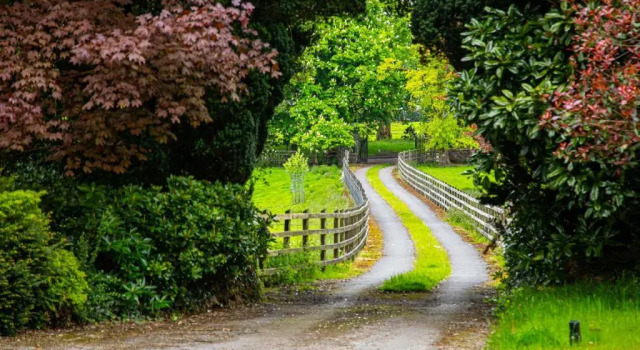Коттедж Swansea Valley Holiday Cottages