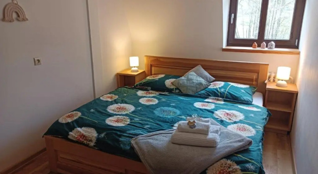 Номер Standard SPA Pod javory