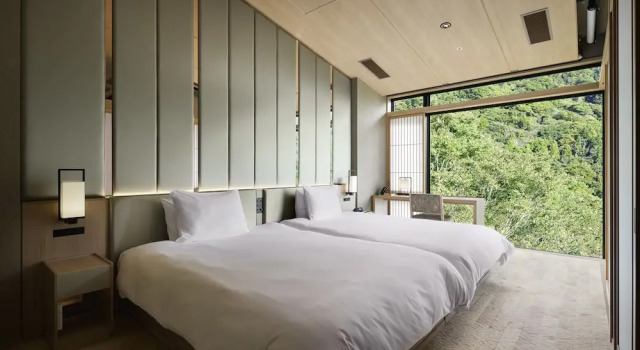 Номер Luxury Hatsuhana